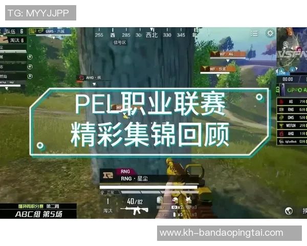 2026年3月份新闻和平精英团队协作排行榜揭晓RNG战队荣登第七名引发关注